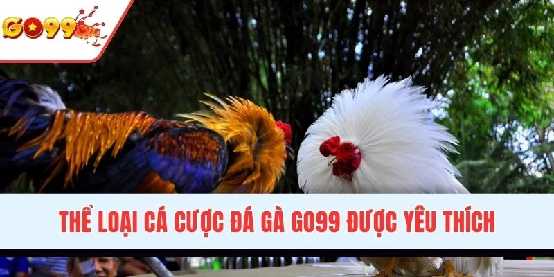 Thể loại cá cược đá gà GO99 được yêu thích